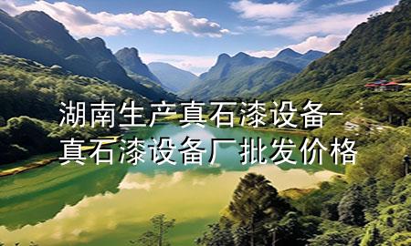 湖南生产真石漆设备-真石漆设备厂批发价格