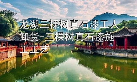龙湖三棵树真石漆工人卸货-三棵树真石漆施工工艺