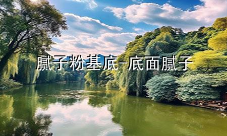 腻子粉基底-底面腻子
