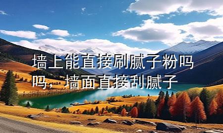 墙上能直接刷腻子粉吗吗，墙面直接刮腻子