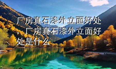 厂房真石漆外立面好处，厂房真石漆外立面好处是什么
