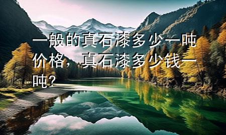 一般的真石漆多少一吨价格，真石漆多少钱一吨?