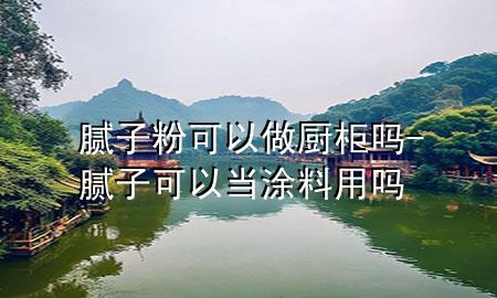 腻子粉可以做厨柜吗-腻子可以当涂料用吗