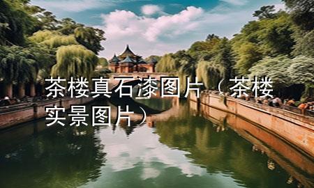 茶楼真石漆图片（茶楼实景图片）