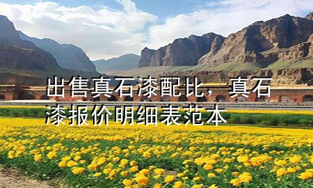 出售真石漆配比，真石漆报价明细表范本