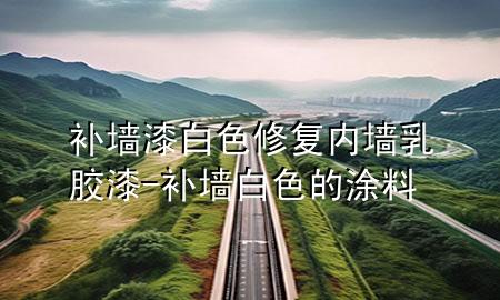 补墙漆白色修复内墙乳胶漆-补墙白色的涂料
