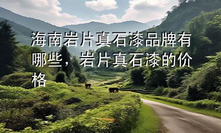 海南岩片真石漆品牌有哪些，岩片真石漆的价格