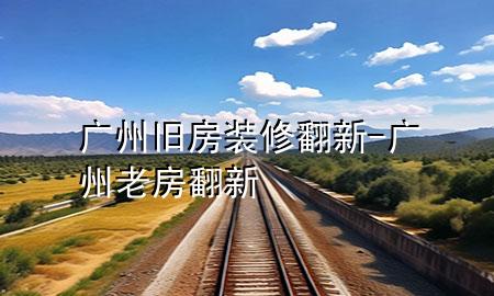 广州旧房装修翻新-广州老房翻新