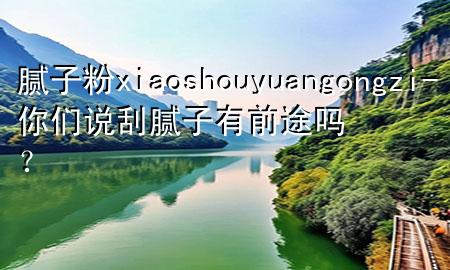 腻子粉xiaoshouyuangongzi-你们说刮腻子有前途吗？