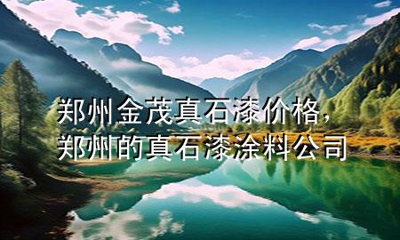 郑州金茂真石漆价格，郑州的真石漆涂料公司