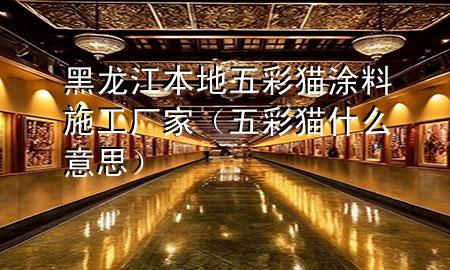 黑龙江本地五彩猫涂料施工厂家（五彩猫什么意思）