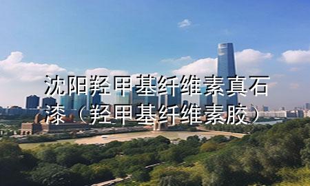沈阳羟甲基纤维素真石漆（羟甲基纤维素胶）