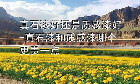 真石漆好还是质感漆好-真石漆和质感漆哪个更贵一点