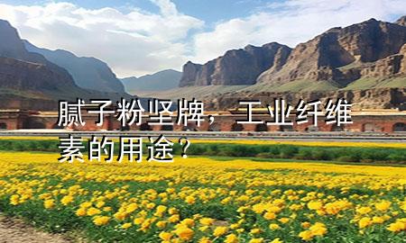 腻子粉 坚牌，工业纤维素的用途？