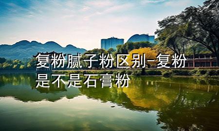 复粉 腻子粉 区别-复粉是不是石膏粉