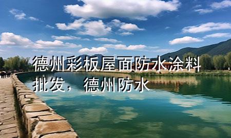 德州彩板屋面防水涂料批发，德州 防水