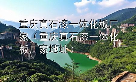 重庆真石漆一体化板厂家（重庆真石漆一体化板厂家地址）