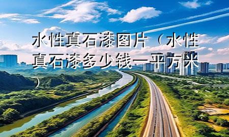 水性真石漆图片（水性真石漆多少钱一平方米）