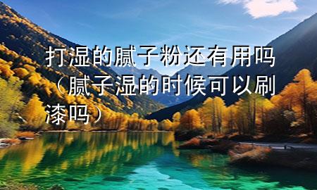 打湿的腻子粉还有用吗（腻子湿的时候可以刷漆吗）