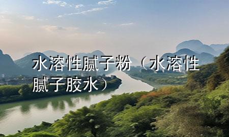 水溶性腻子粉（水溶性腻子胶水）