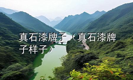 真石漆 牌子（真石漆牌子样子）