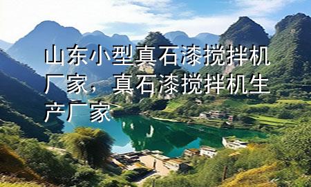 山东小型真石漆搅拌机厂家，真石漆搅拌机生产厂家