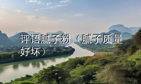 评语腻子粉（腻子质量好坏）