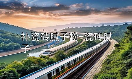 补瓷砖腻子粉-瓷砖 腻子