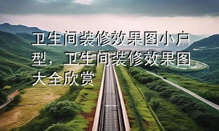 卫生间装修效果图小户型，卫生间装修效果图大全欣赏