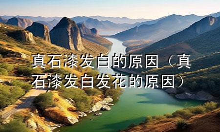 真石漆发白的原因（真石漆发白发花的原因）