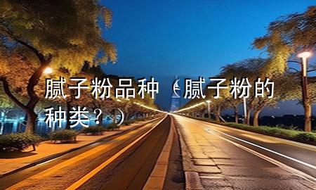 腻子粉品种（腻子粉的种类？）