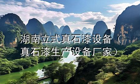 湖南立式真石漆设备（真石漆生产设备厂家）