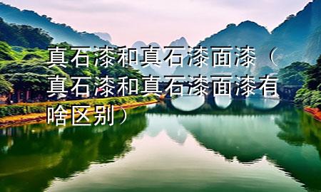 真石漆和真石漆面漆（真石漆和真石漆面漆有啥区别）