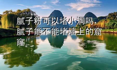 腻子粉可以堵小洞吗，腻子能不能堵墙上的窟窿