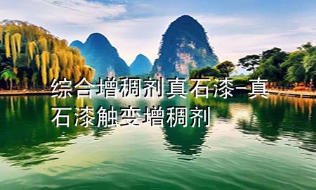 综合增稠剂真石漆-真石漆触变增稠剂