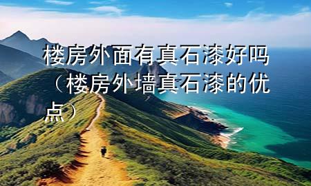 楼房外面有真石漆好吗（楼房外墙真石漆的优点）