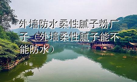 外墙防水柔性腻子粉厂子（外墙柔性腻子能不能防水）