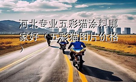 河北专业五彩猫涂料哪家好（五彩猫图片价格）