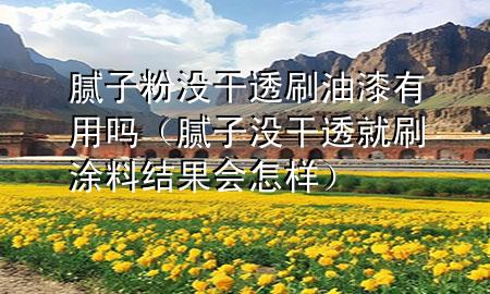 腻子粉没干透刷油漆有用吗（腻子没干透就刷涂料结果会怎样）
