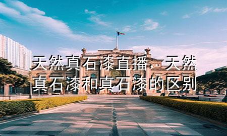 天然真石漆直播，天然真石漆和真石漆的区别
