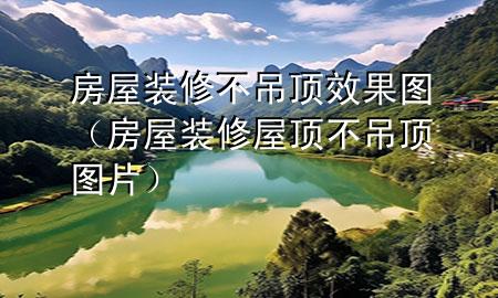 房屋装修不吊顶效果图（房屋装修屋顶不吊顶图片）