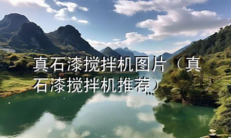 真石漆搅拌机图片（真石漆搅拌机推荐）