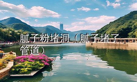 腻子粉堵洞（腻子堵了管道）