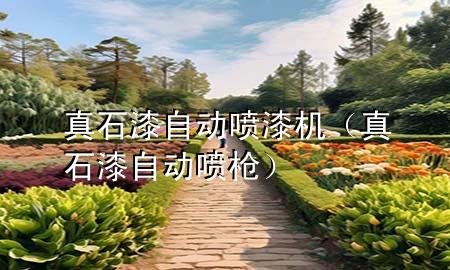 真石漆自动喷漆机（真石漆自动喷枪）