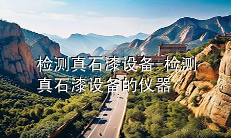 检测真石漆设备-检测真石漆设备的仪器