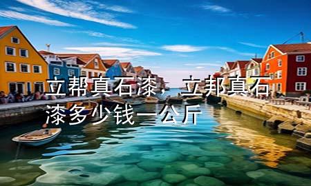 立帮真石漆，立邦真石漆多少钱一公斤