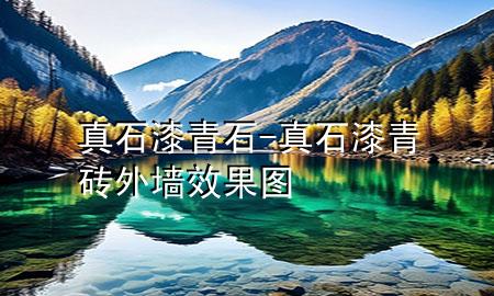 真石漆青石-真石漆青砖外墙效果图