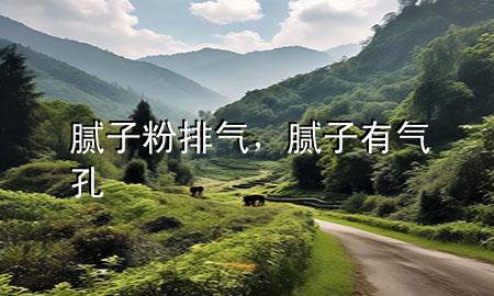 腻子粉排气，腻子有气孔