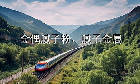 金偶腻子粉，腻子 金属