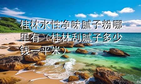桂林水性净味腻子粉哪里有（桂林刮腻子多少钱一平米）